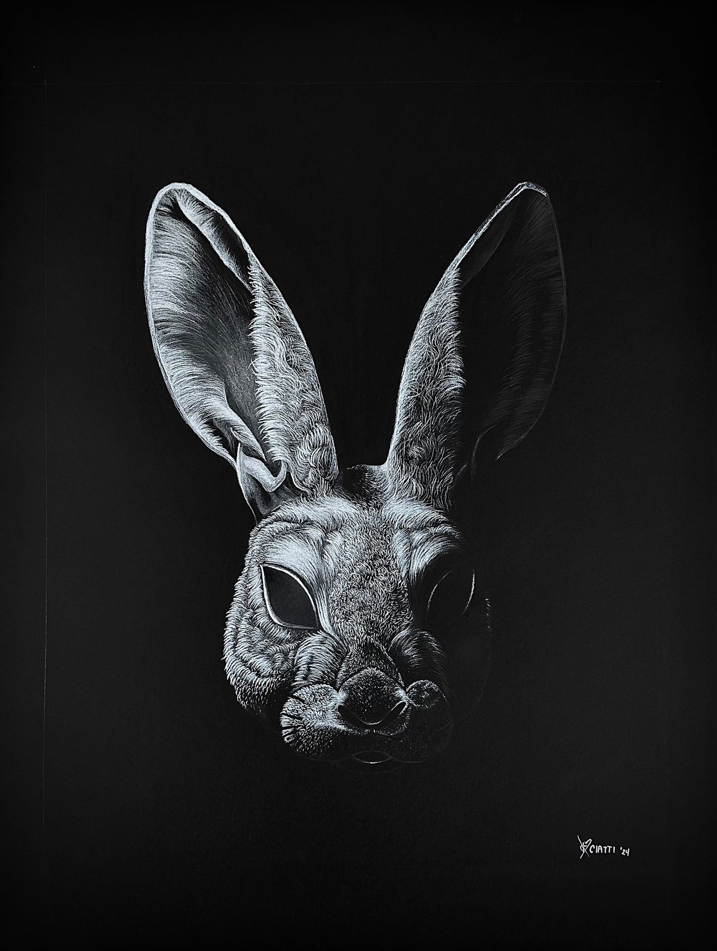 Rabbit Mask Drawing